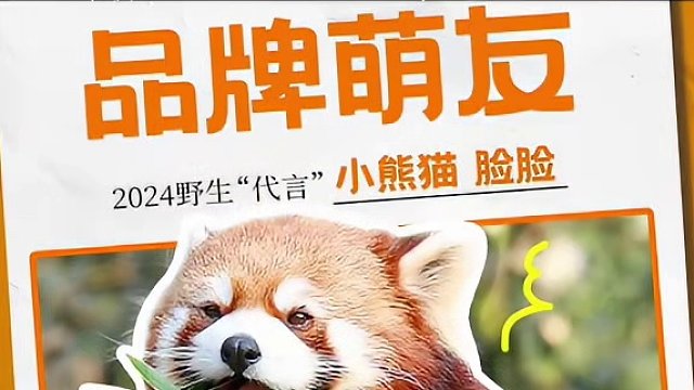 恭喜wuli脸脸C位出道！成功拿下代言人咯#北海牧场野⽣代⾔⼈#出道吧野⽣⽑孩#红山动物园丑猴子博物