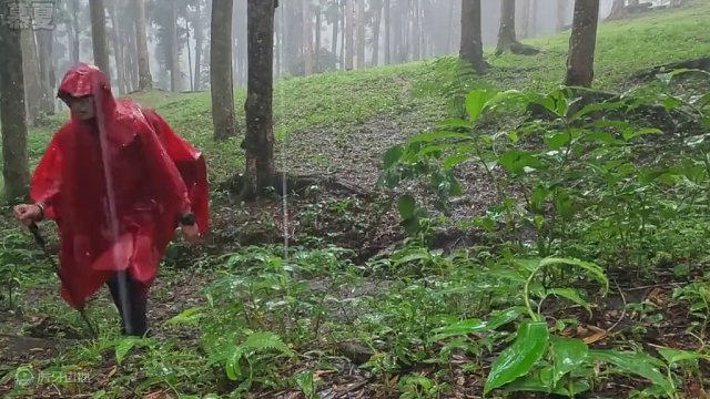 #识货种草官 快来沉浸式欣赏一集超解压#雨天露营 吧