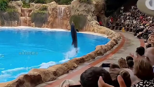 那些没白去的动物园.#搞笑 #动物园 #动物的迷惑行为 #看一遍笑一遍