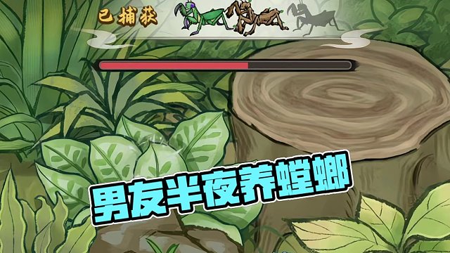 男友半夜不睡觉，原来是在被窝里养螳螂！！！