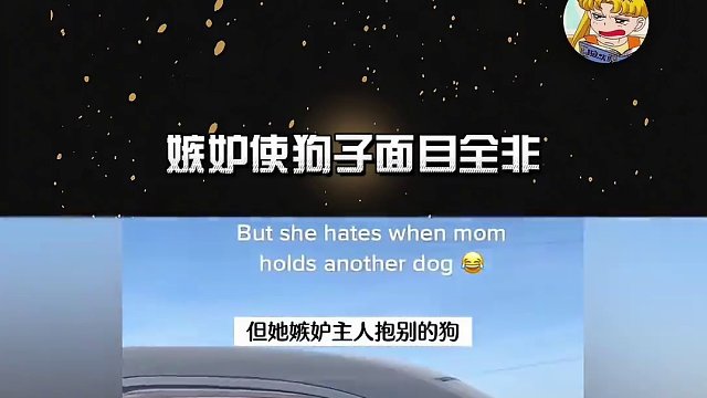 狗：抱的什么，我问你手里抱的什么