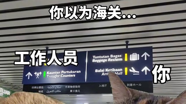 #马来西亚 #马来西亚海关 #旅行 旅游#小猫