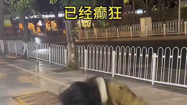 让陌生人带我去玩两小时会发生什么#大冒险 #街头挑战 #写真