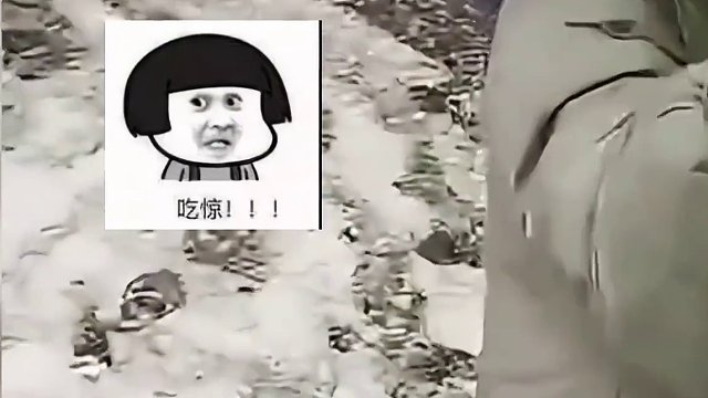 没有行车记录仪的话真的要被讹上了！#老头乐 #开车 #汽车