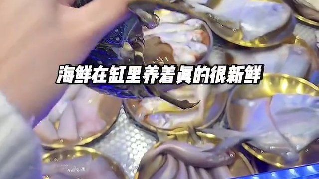 我发布了一个新视频，快来围观吧！