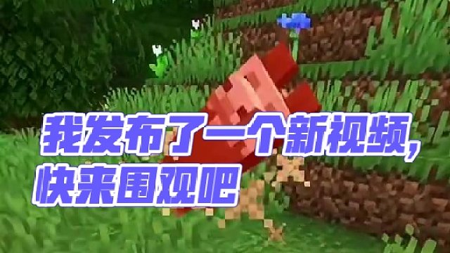 我发布了一个新视频，快来围观吧！