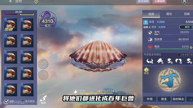 我真是个冤种！再充钱我是狗