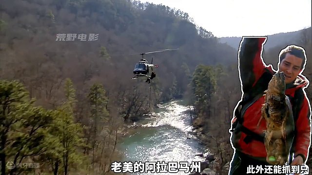 贝爷来到阿拉巴马州，逮到头99斤野猪和十几斤鳄龟，晚上吃烤猪腿 #影视解说#纪录片#荒野求生#野外生