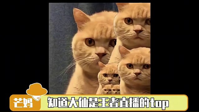 #张大仙高渐仙又回来了  张大仙是懂粉丝爱看什么的！这么高还原度cos属实是把芒妈拿捏了~