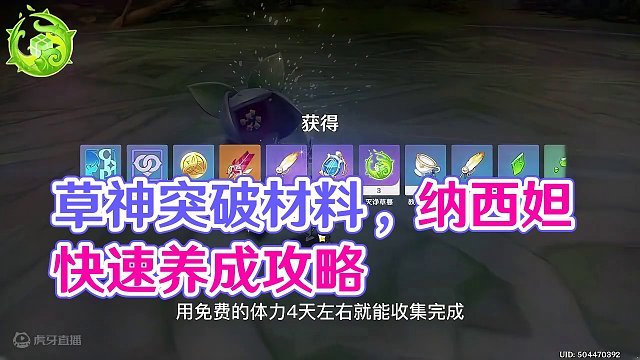 【草神突破材料】无童年版纳西妲快速养成攻略 #原神 #原神攻略 #原神枫丹 #原神萌新 #纳西妲