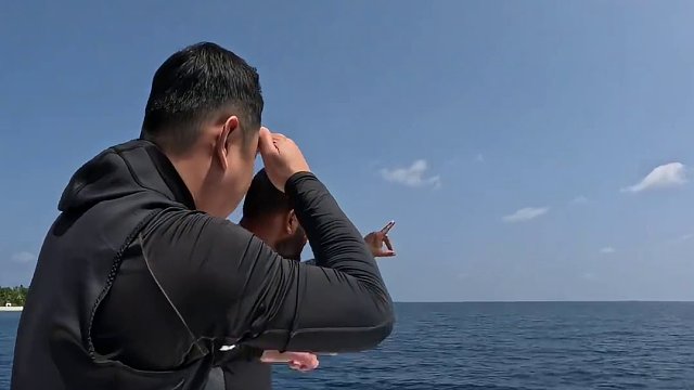 寻找世界上最大的鲨鱼！商城好物年货节 #祺哥潜水 #潜遍天下