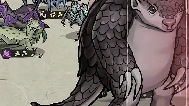 男友半夜不睡觉，原来是在被窝里养螳螂！！！