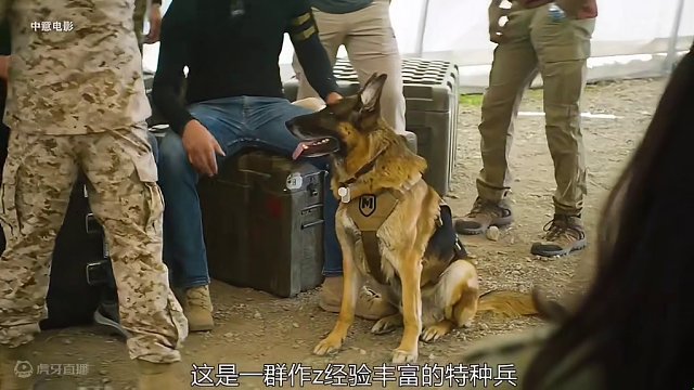 9.4分高分军事题材剧，军迷们不能错过的佳片#战争电影 #好剧推荐