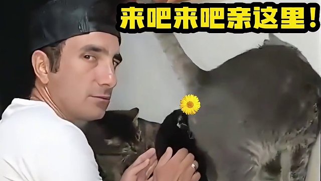 最后那只猫的反应给我笑拥了