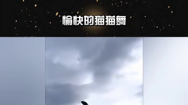 太可爱辽，宝真有舞蹈天赋！宝跳得真好！！