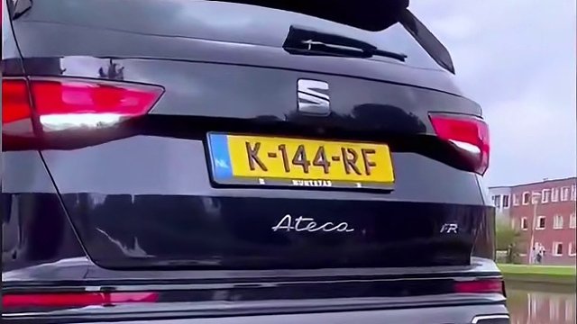 荷兰人的停车方式竟然也这么牛！