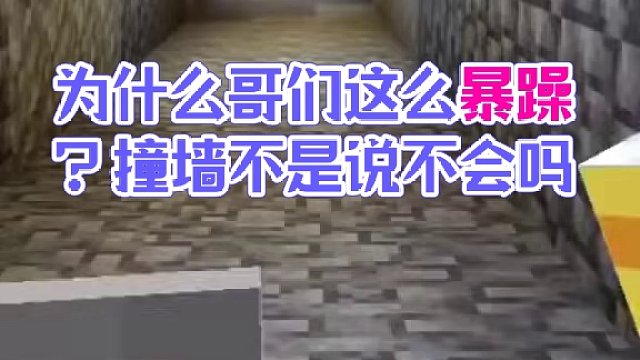 #Minecraft #我的世界