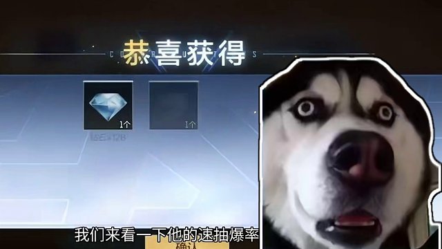 王者雷霆近战夺宝试水评价！整体巨黑爆率答辩根本没有永久游骑兵#穿越火线手游 #CF手游 #手游CF 