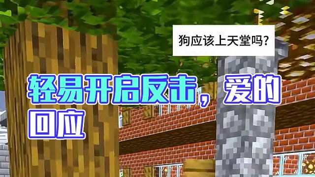 #Minecraft #我的世界