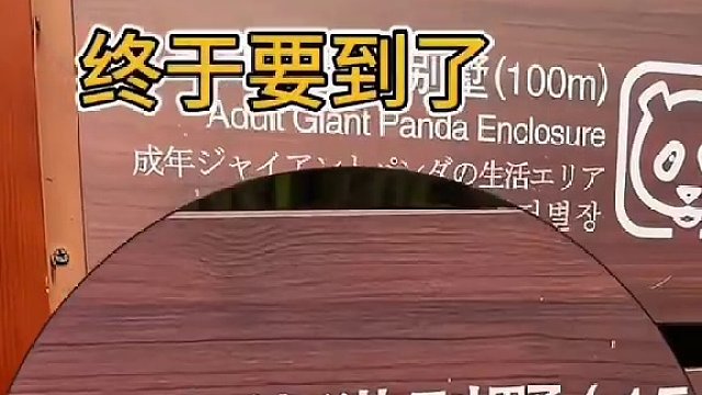 起早贪黑只为见女明星一面，谁能拒绝这么可爱的顶流花花呢～汽车人共创计划 #熊猫基地 #花花 #