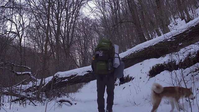 冰天雪地的极寒山林，前方发现一座石窟，烤上柴火暖身避险刚合适 #我和狗狗的故事 #我的乡野山居生活 
