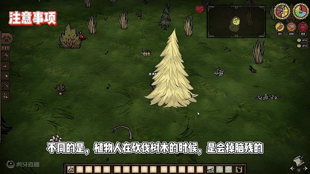 植物人沃姆伍德开局详解第二期，如何活下去 #饥荒联机版教程