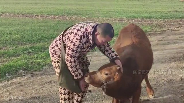 每一个生命都值得被温柔以待！#感动 #动物