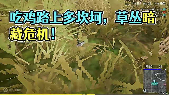 吃鸡路上多坎坷，只恨草丛太低！#又菜又爱玩系列  #老六 #游戏日常 #绝地求生 #这操作都看傻了 
