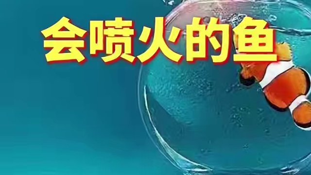 喷火鱼，是一种吞食介形虫后能排放发光物质的天竺鲷