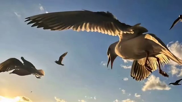 “不记得更好”