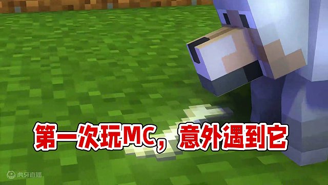 原本以为第一次玩MC的我是孤独的，没想到却遇到了它…… #我的世界 #mc不灭 #我的世界木鱼 #我