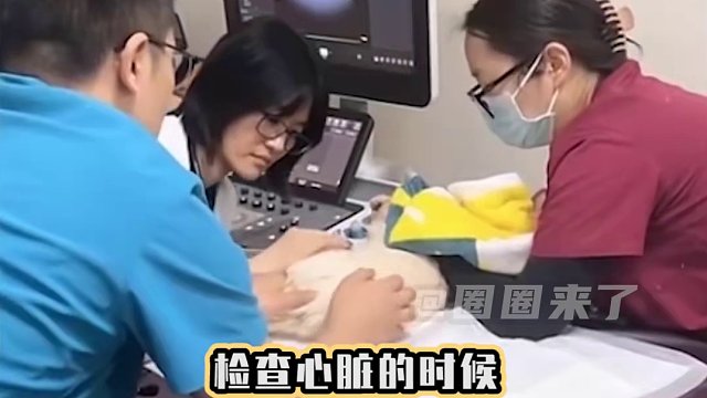 希望以后的日子健健康康开开心心#猫咪