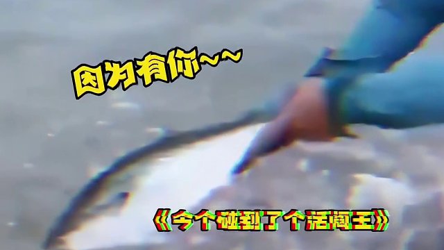 鱼：听我说谢谢你~