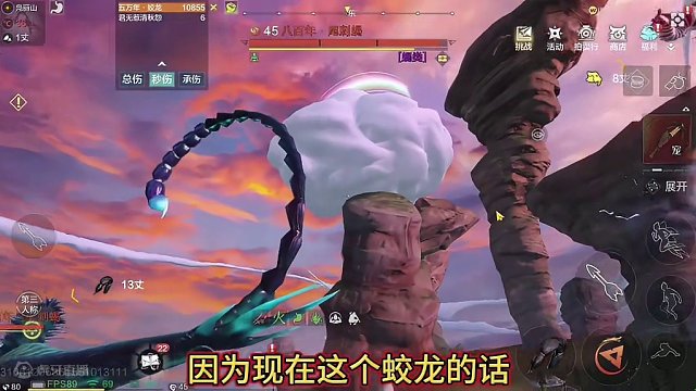 新版本蛟龙的单体伤害测试 6218大荒攻击+1387元素 单体提升不大 #妄想山海 #先行服 #蛟龙