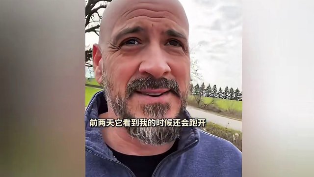 ”我是喜欢狗的人““它真的太T M可爱了”