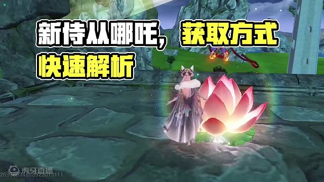 新侍从哪吒 乙级/甲级/双甲级 获取方式 千年元素图产出莲华果 #妄想山海 #妄想山海三周年 #手机