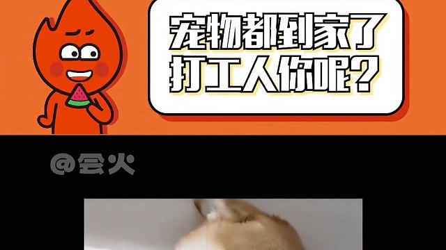 这年头啊，人比猫都气死人 #我到家了你呢  #新春吃喝玩乐节  #吃喝玩乐报告