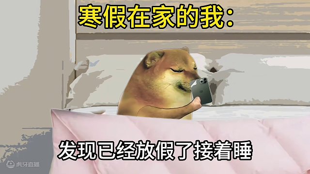 寒假在家时的我#每日一笑 #段子 #cheems小剧场 #寒假