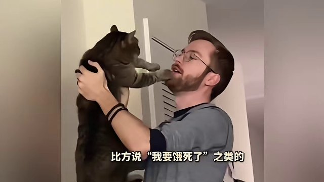 猫猫：道理我都懂，但我为什么不能现在开饭