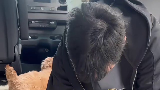 自改房车｜铺上地板感觉整个房车大了一圈#情侣日常 #房车旅行 #海外生活