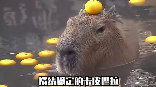 反差感拉满，平时活在面具下的你，也是时候展现真正的自己了！#春节疯一下