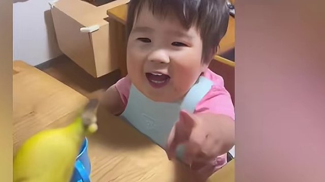 宝宝依盖队，蕉太狼都没你爱吃香蕉