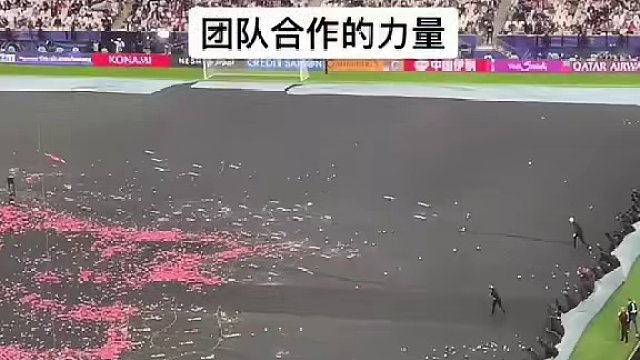 最后抬走那边画面好像蚂蚁搬毛毛虫