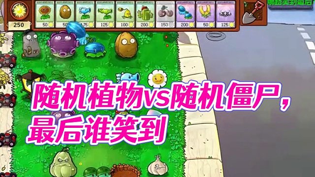 95第四十四期：随机植物vs随机僵尸哪路笑到最后？ 95第四十四期：随机植物vs随机僵尸哪路笑到最后