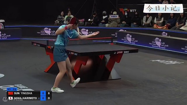 11比0横扫张本美和，莎莎太残暴了#wtt多哈球星挑战赛 #孙颖莎打出11比0 