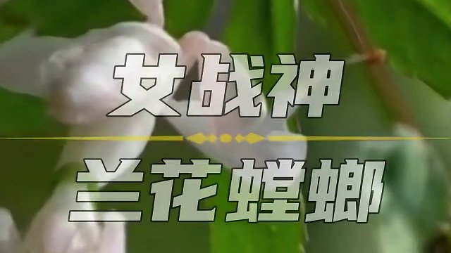 说好只玩5分钟，结果玩了2小时，根本停不下来！