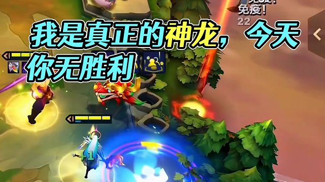 我才是真正的神龙