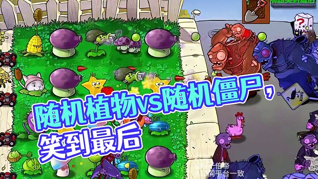 95第四十八期：随机植物vs随机僵尸哪路笑到最后？ 95第四十八期：随机植物vs随机僵尸哪路笑到最后