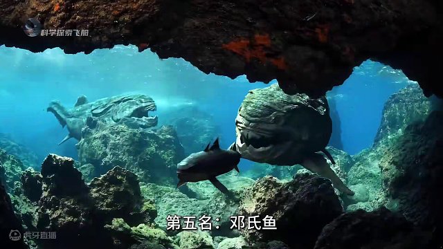远古海洋中5种恐怖巨兽，特别是最后一种，可能至今都还没有灭绝 #科普 #涨知识 #探索地球 #史前星