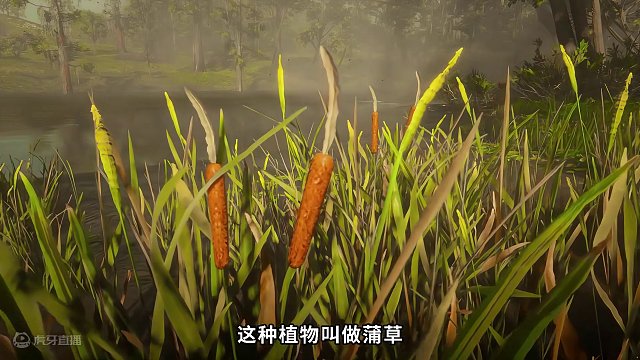 利用好游戏机制，牛仔也能飞天遁地！《荒野大镖客2》 #游戏 #单机游戏 #steam游戏